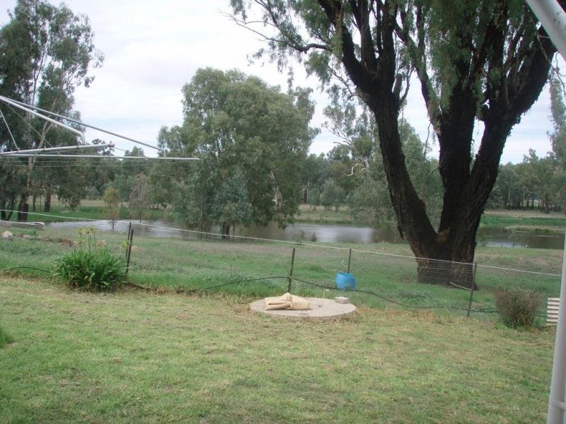 - Kia Ora Down, Old Narandera Rd  EUBERTA 4