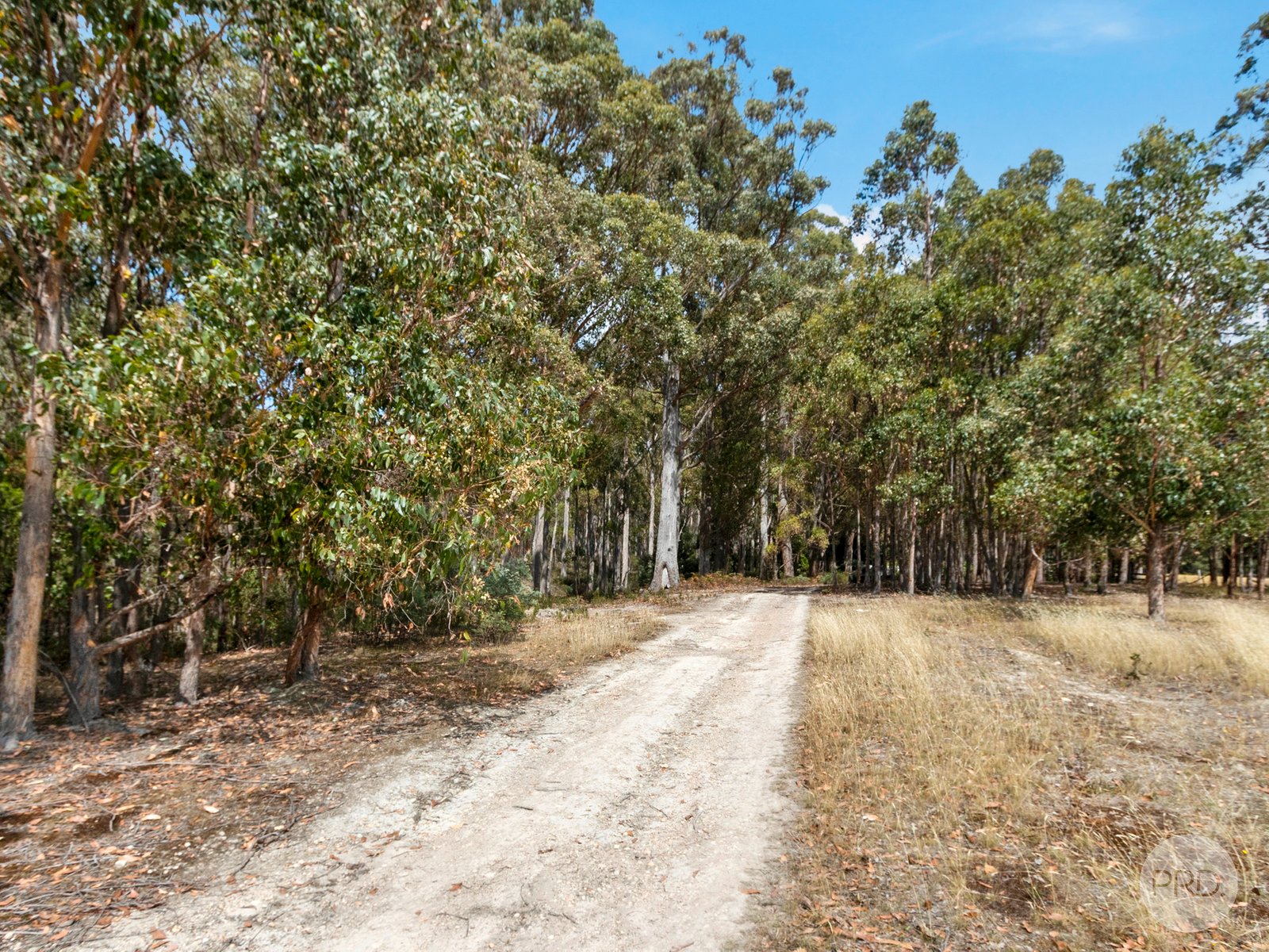 0 Marriotts Road ELLENDALE 12