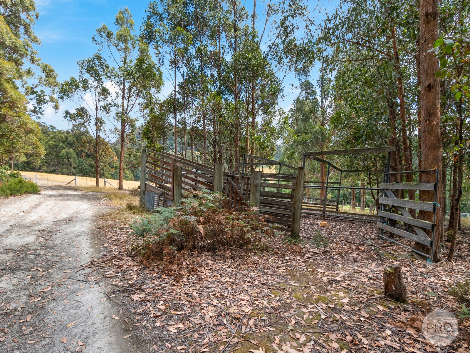 0 Marriotts Road ELLENDALE 13