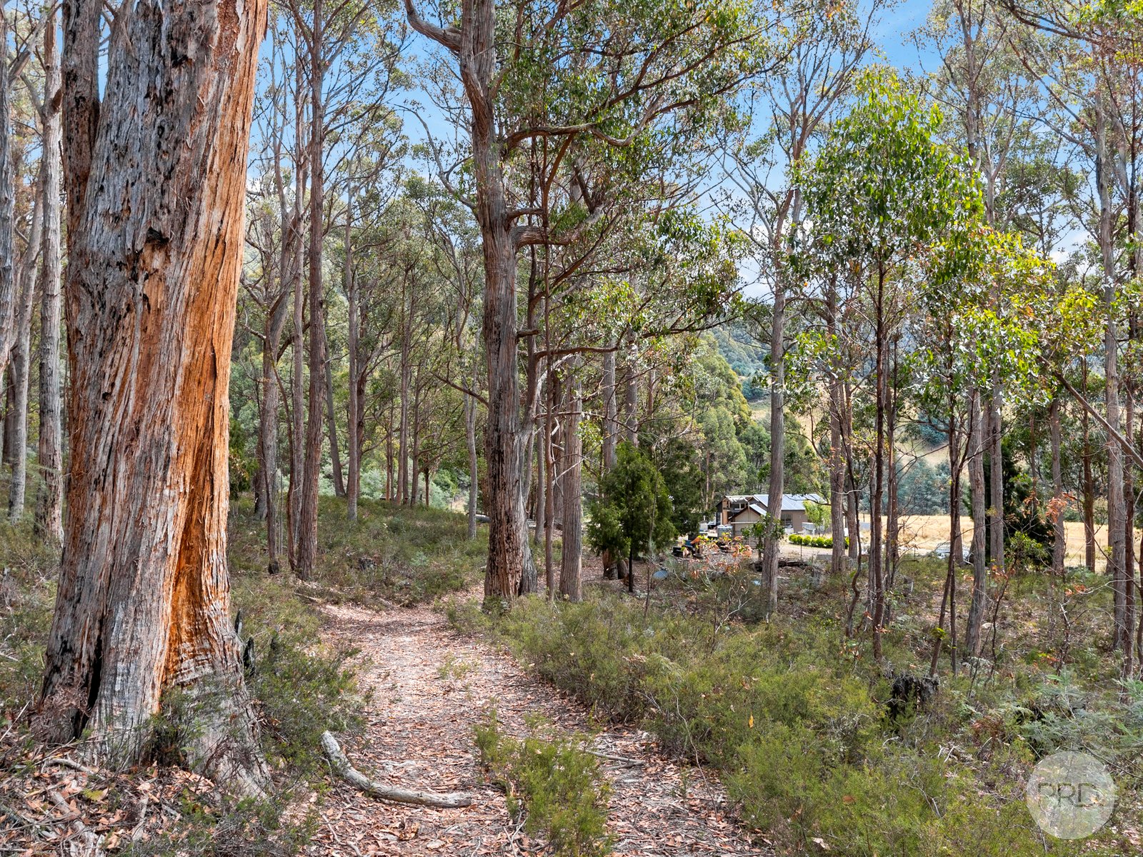 0 Marriotts Road ELLENDALE 15