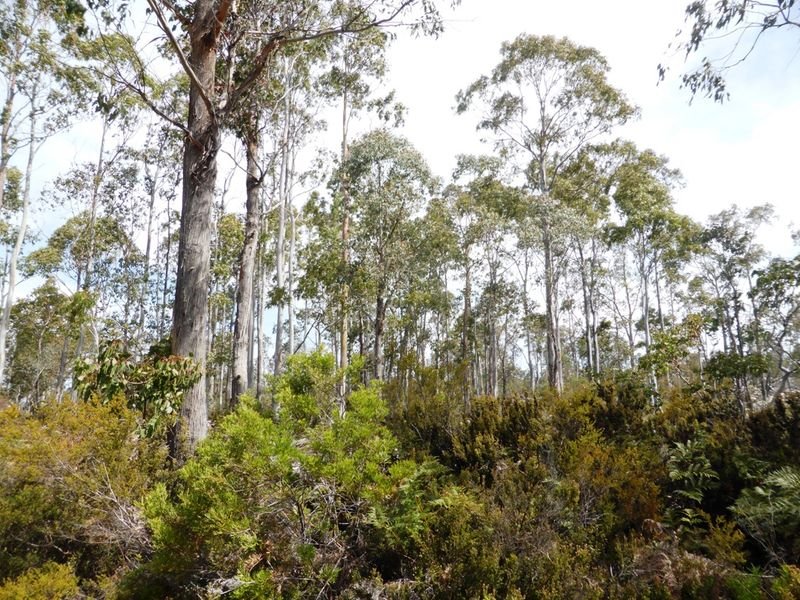 0 Victoria Valley Road DEE 6