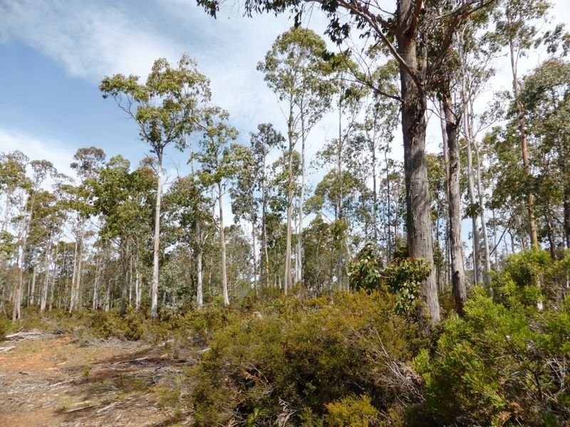 0 Victoria Valley Road DEE 7