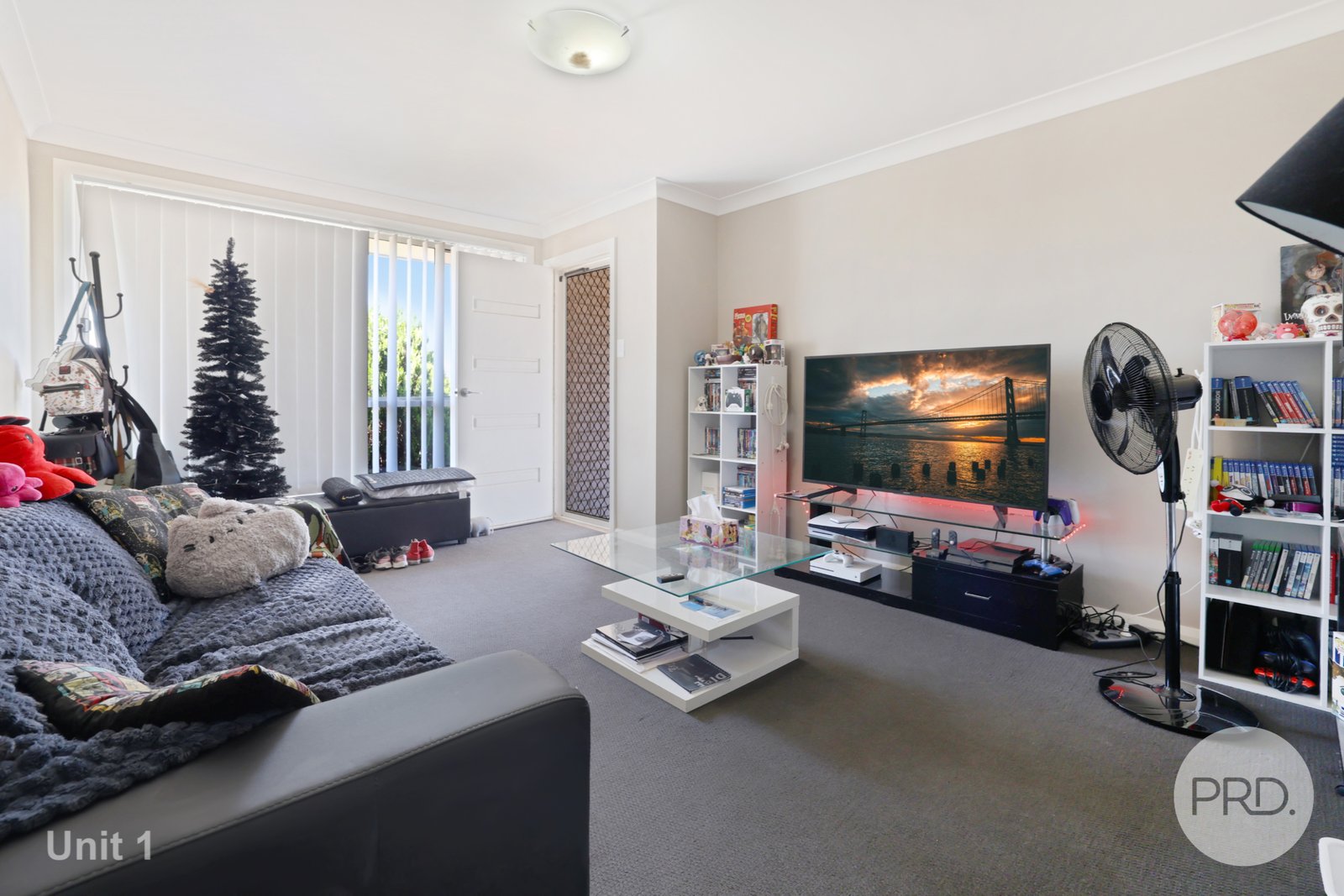 1 & 1A Lake Place TAMWORTH 19