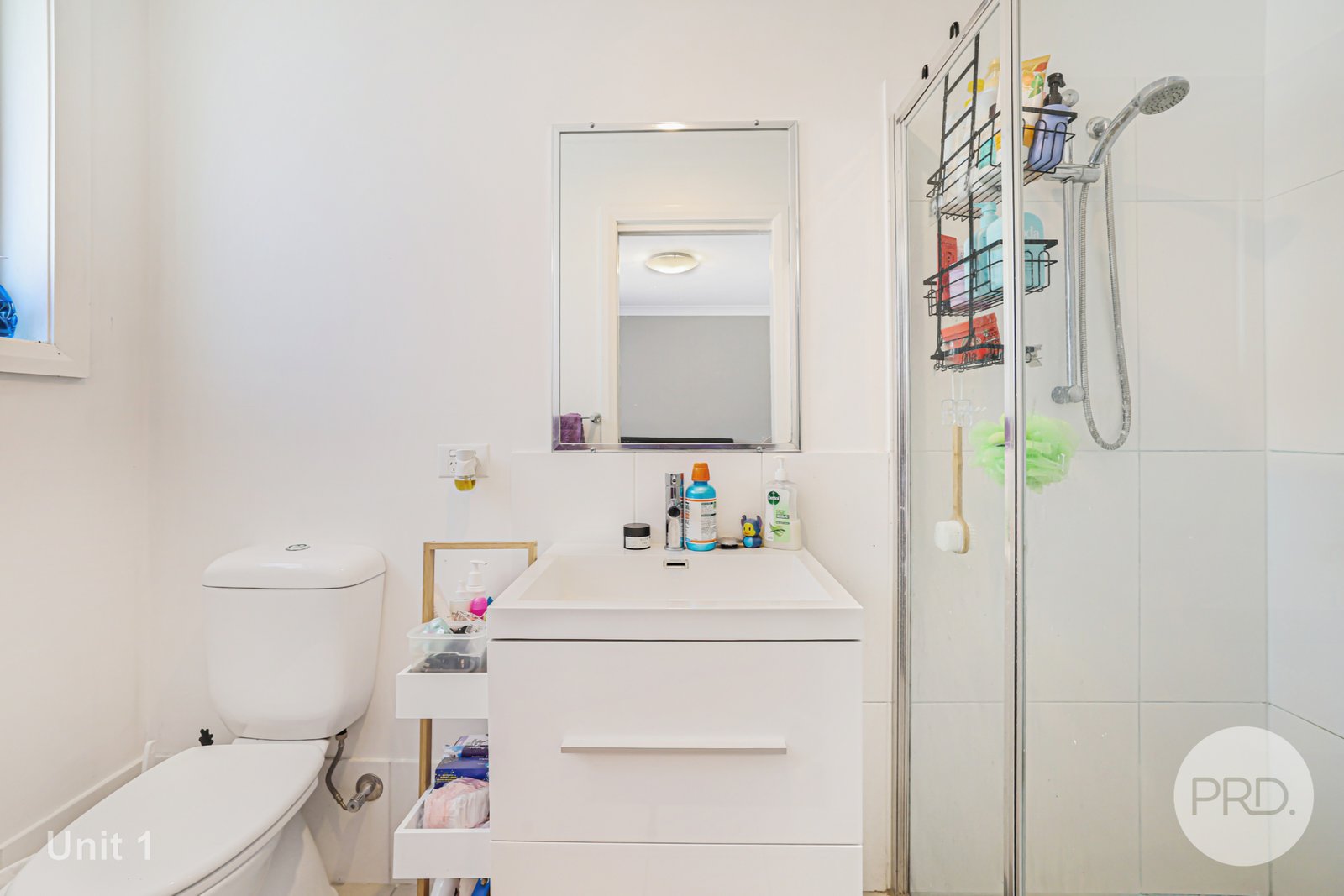 1 & 1A Lake Place TAMWORTH 24