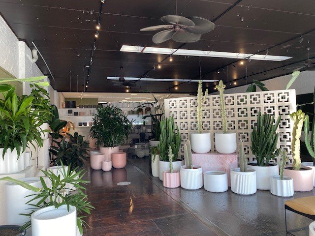 Gallery: 1-3 Inkerman Street