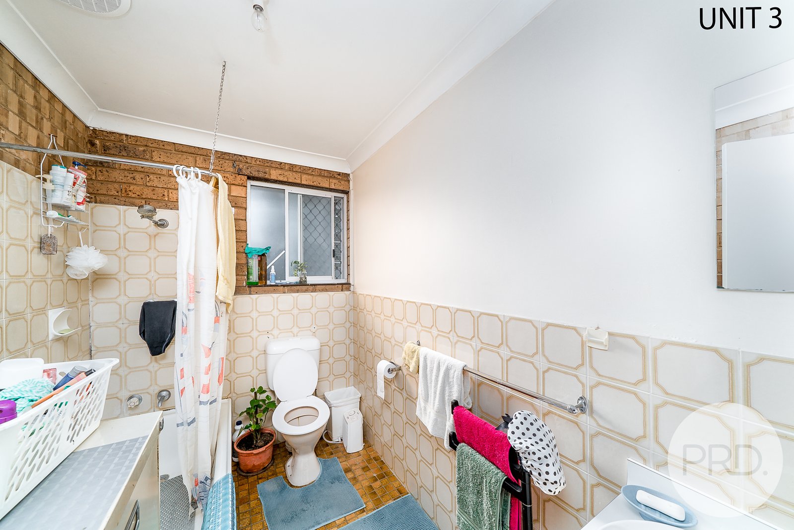 1-3/7 Wewak Street ASHMONT 7