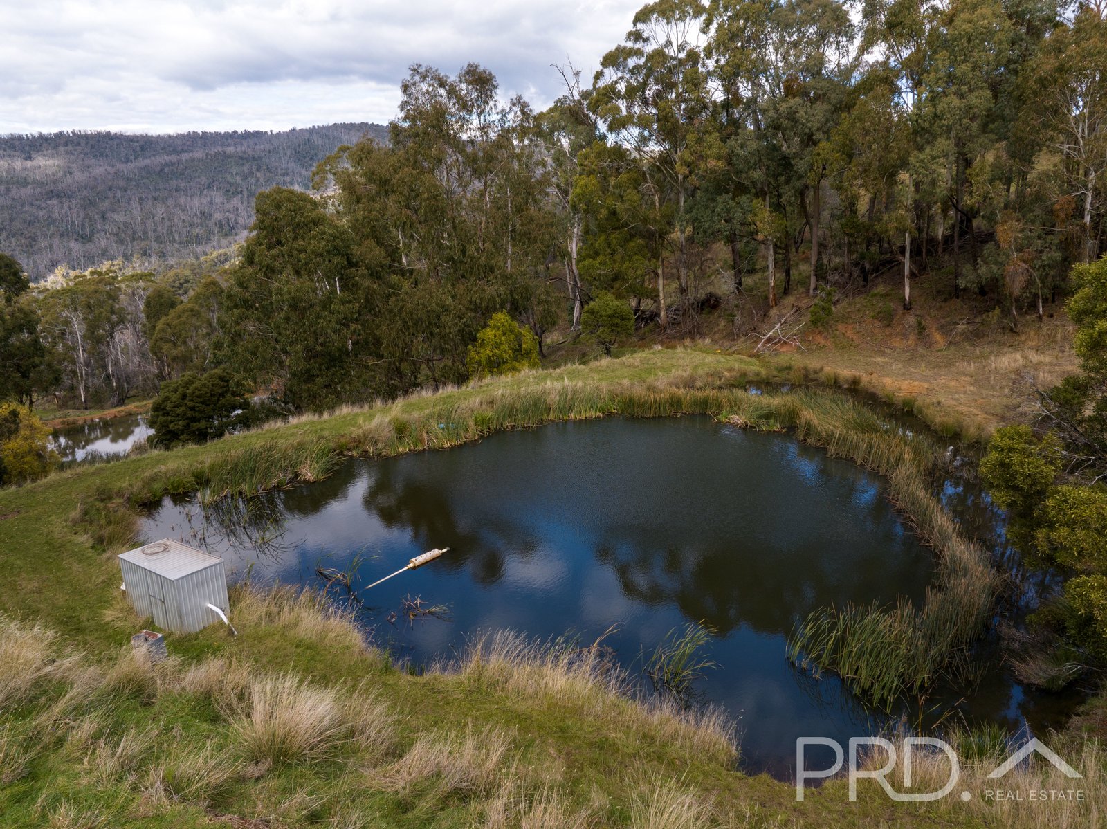 1-65 Forsters Road BATLOW 10