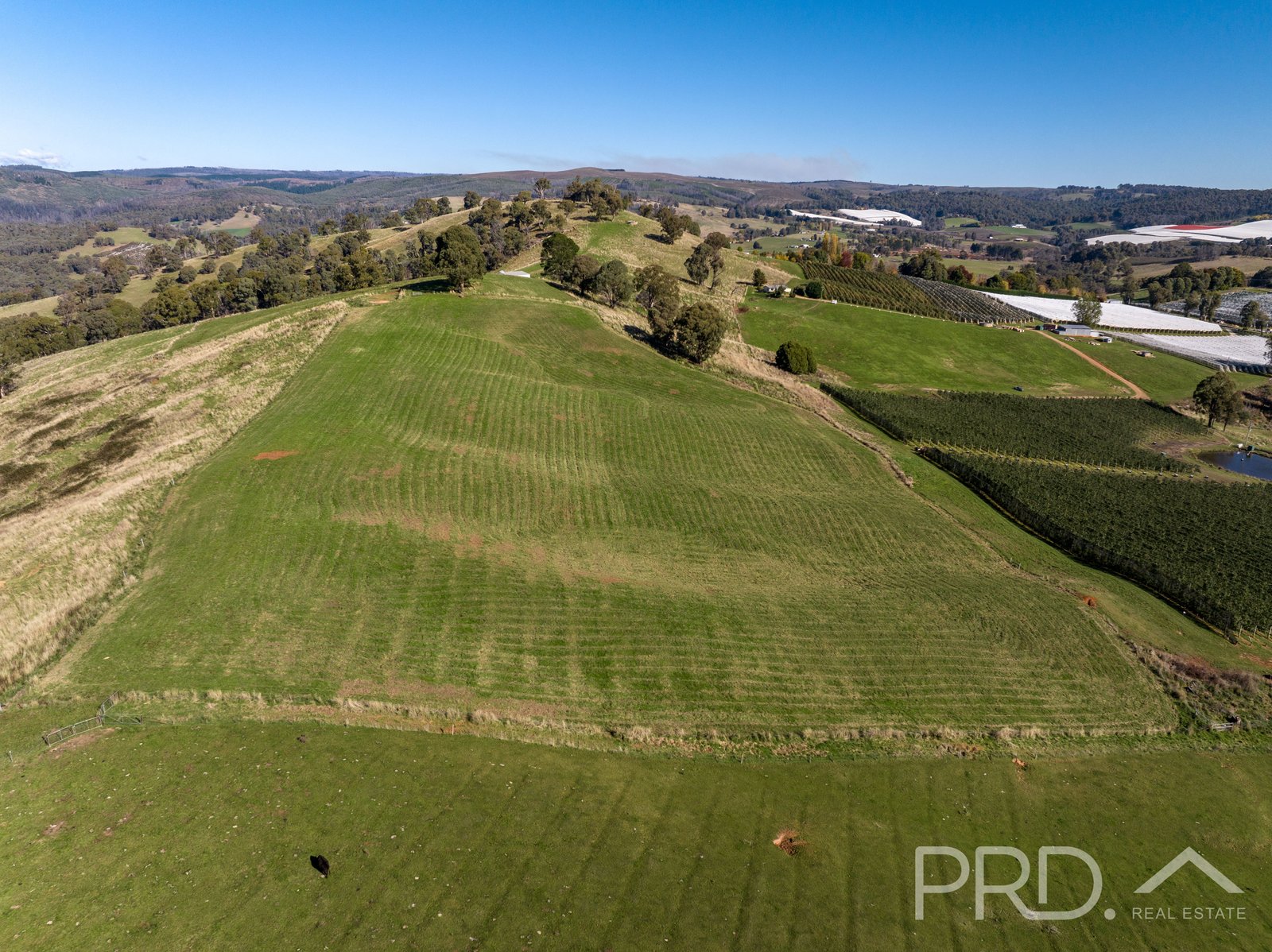 1-65 Forsters Road BATLOW 11