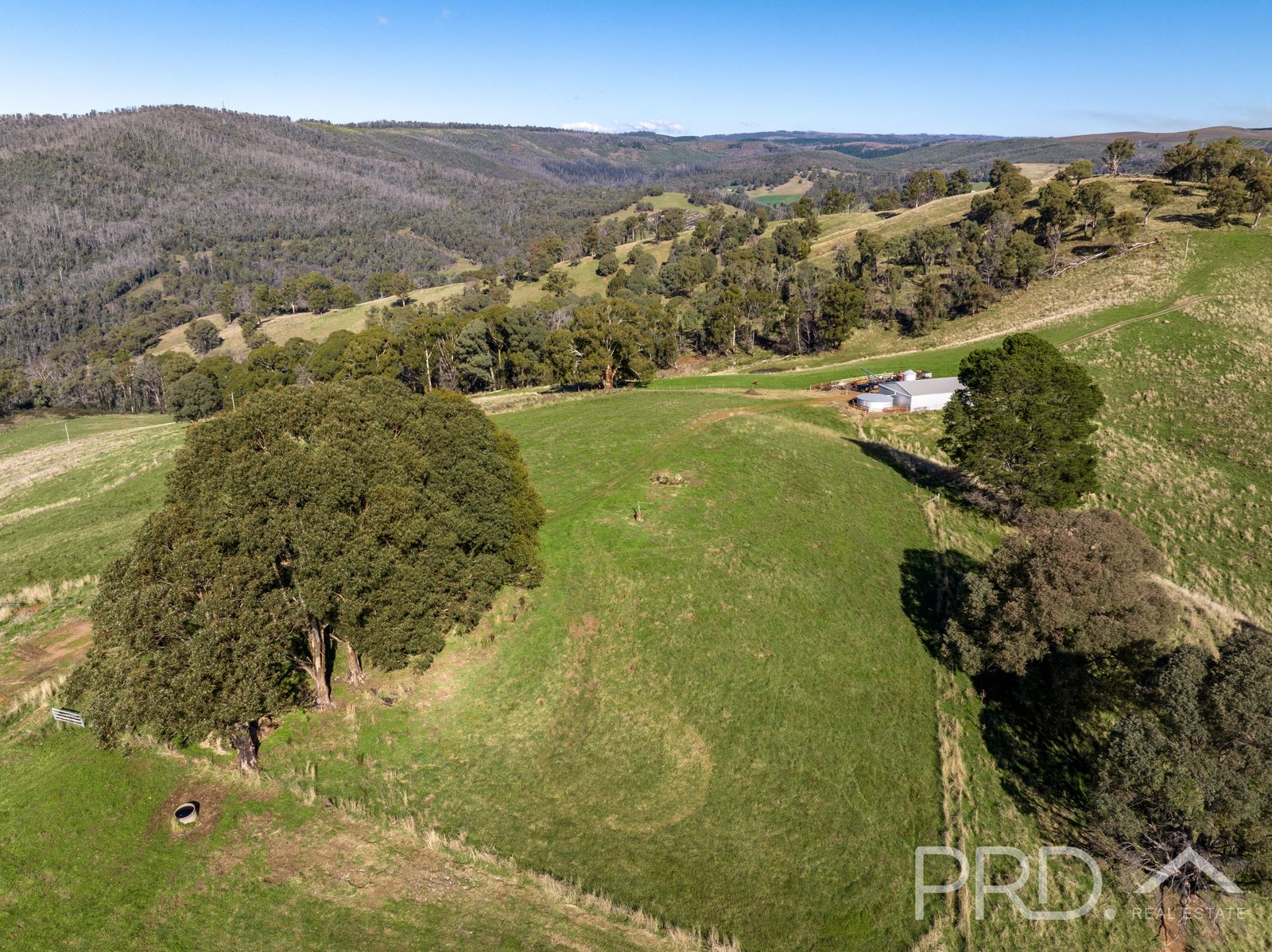 1-65 Forsters Road BATLOW 12