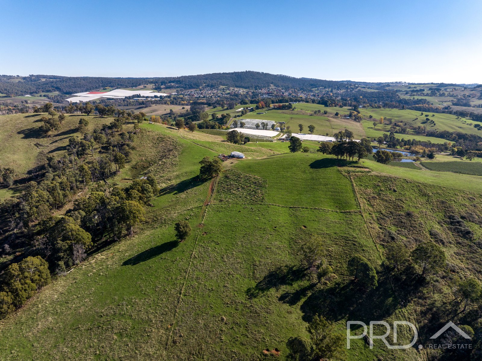 1-65 Forsters Road BATLOW 13