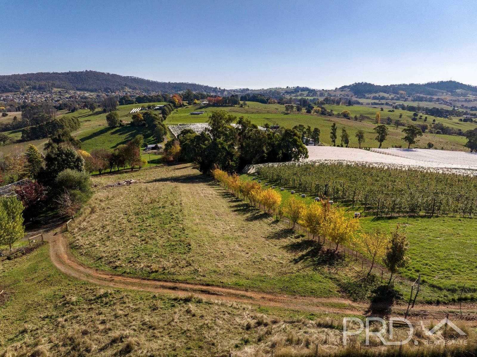 1-65 Forsters Road BATLOW 15