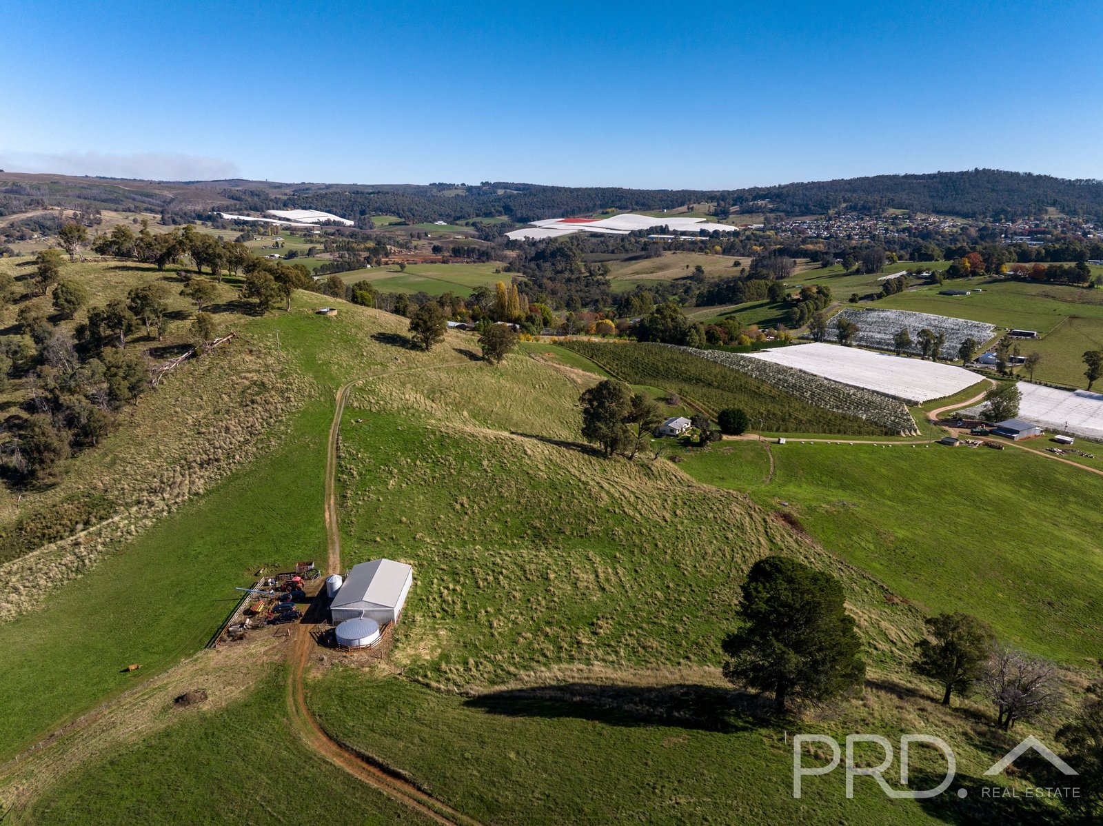 1-65 Forsters Road BATLOW 20
