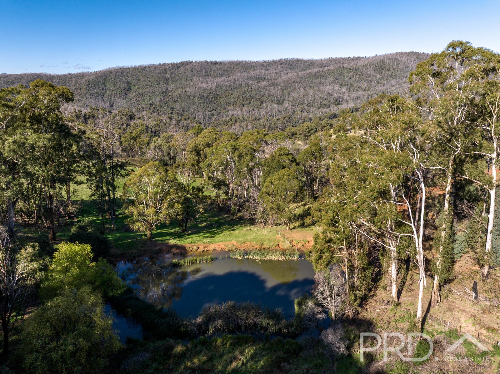 1-65 Forsters Road BATLOW 24