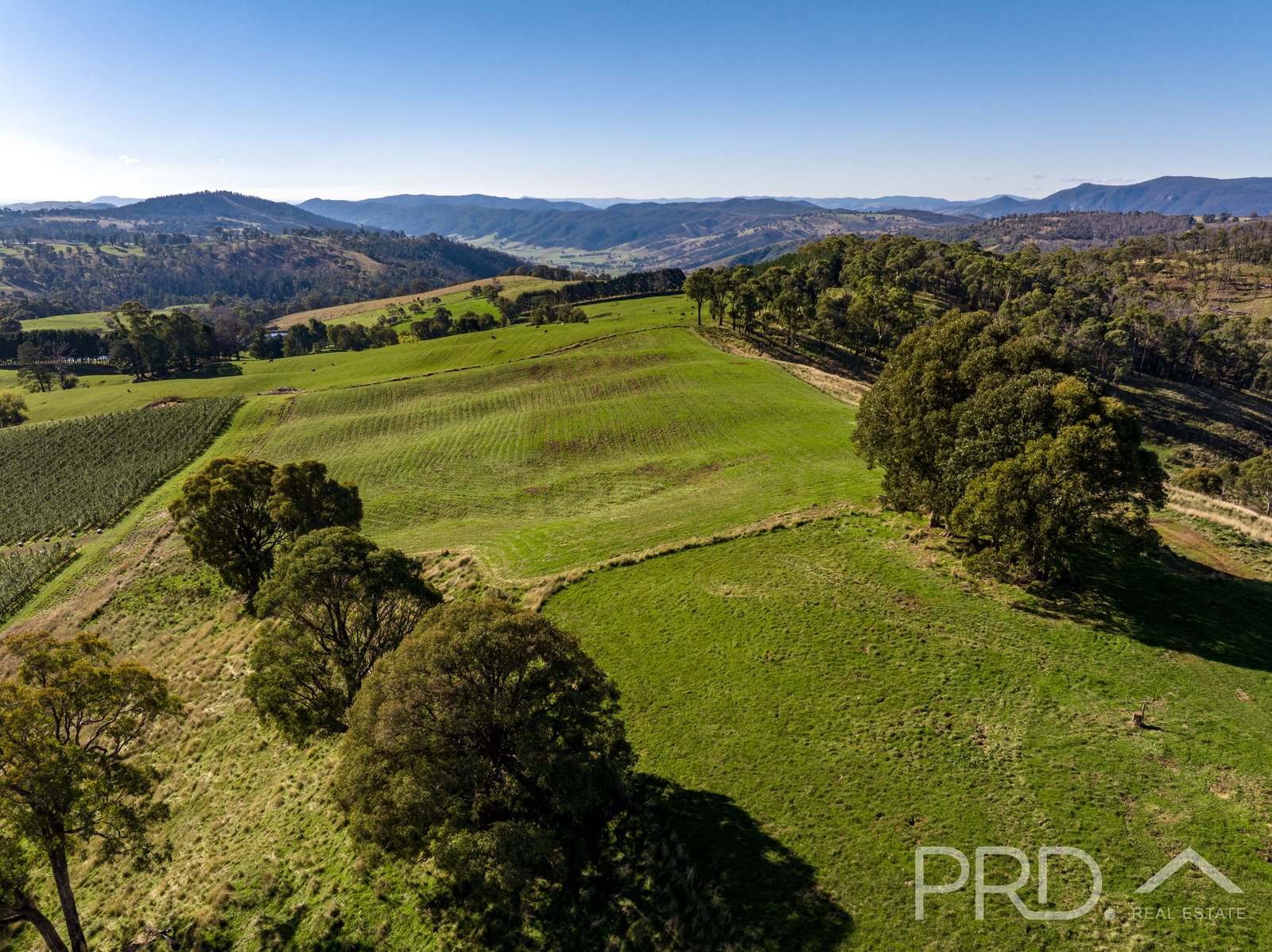 1-65 Forsters Road BATLOW 27
