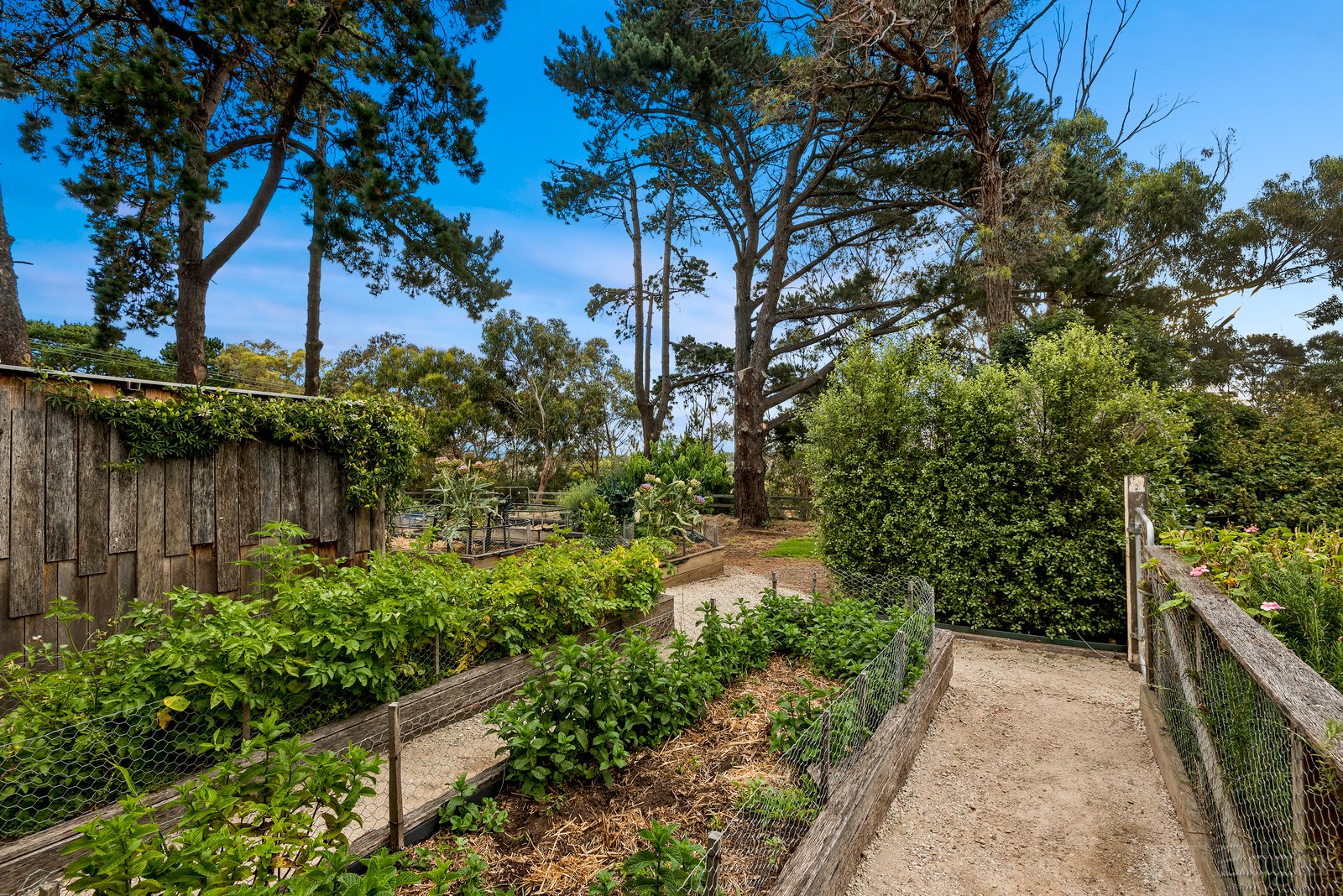 Real Estate and Property in 1-9 Reservoir Road, Drysdale, VIC