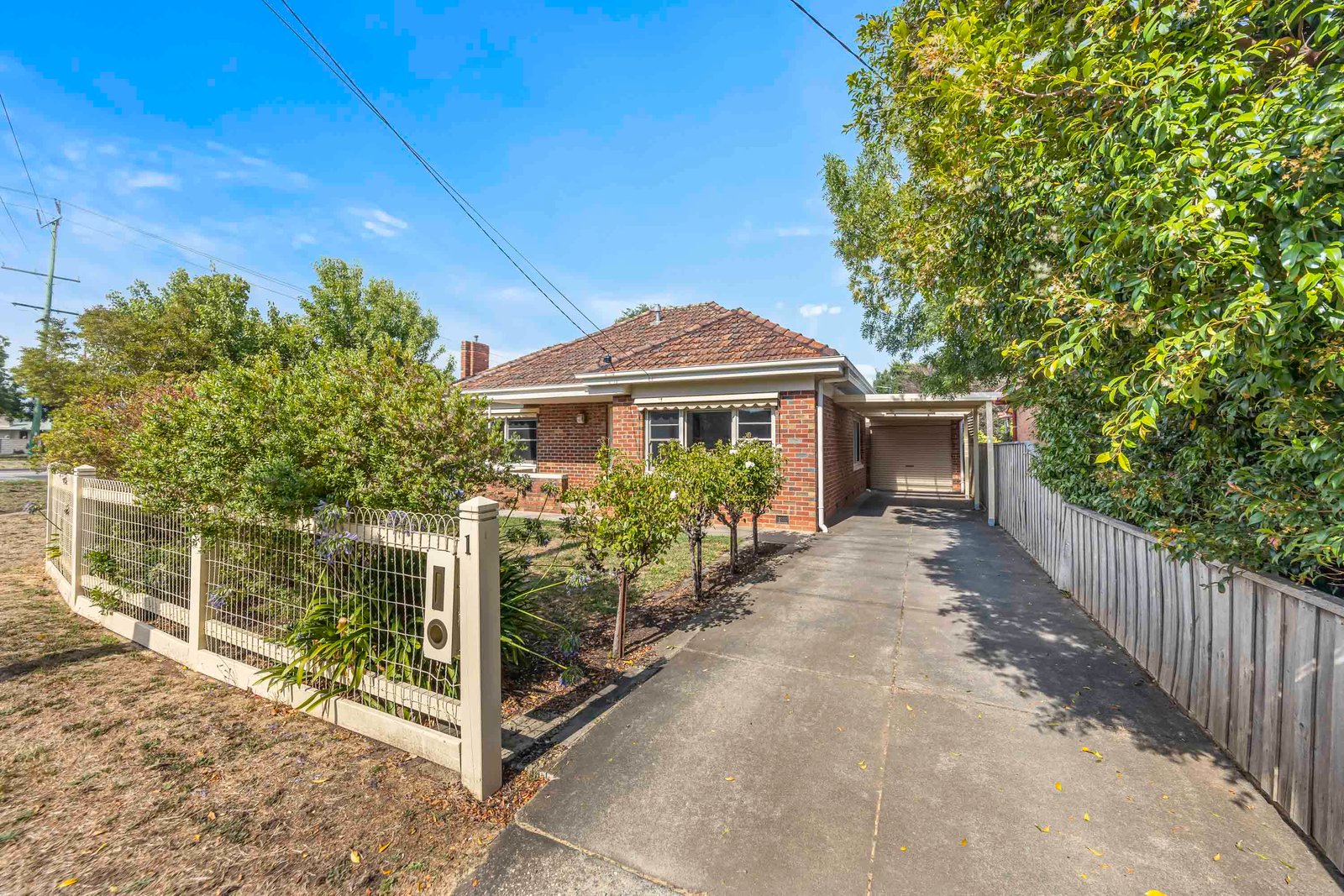 Gallery: 1 Adair Street