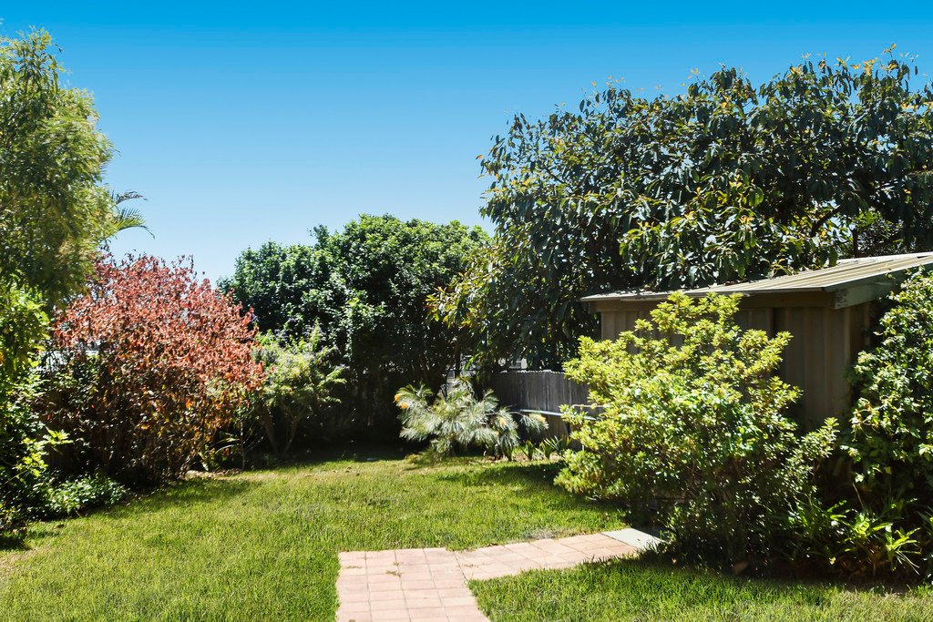 1 Allenwood Street CAMDEN HEAD 15