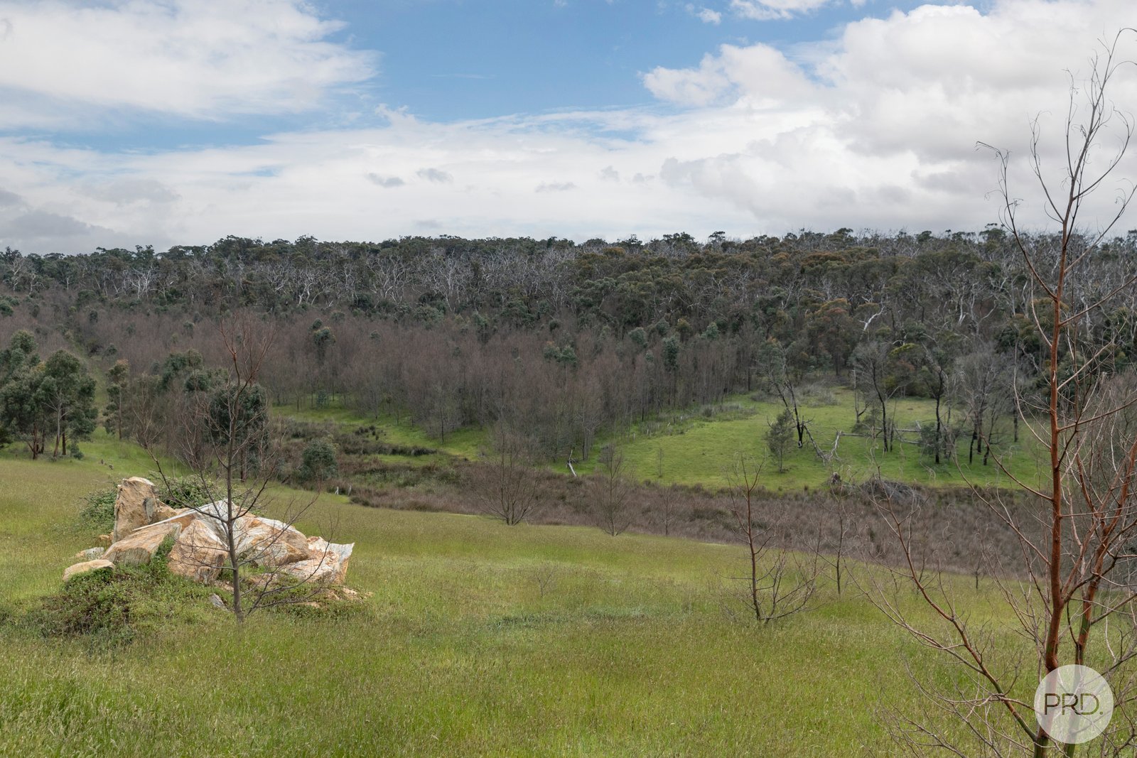 1 Arnolds Road DEREEL 14