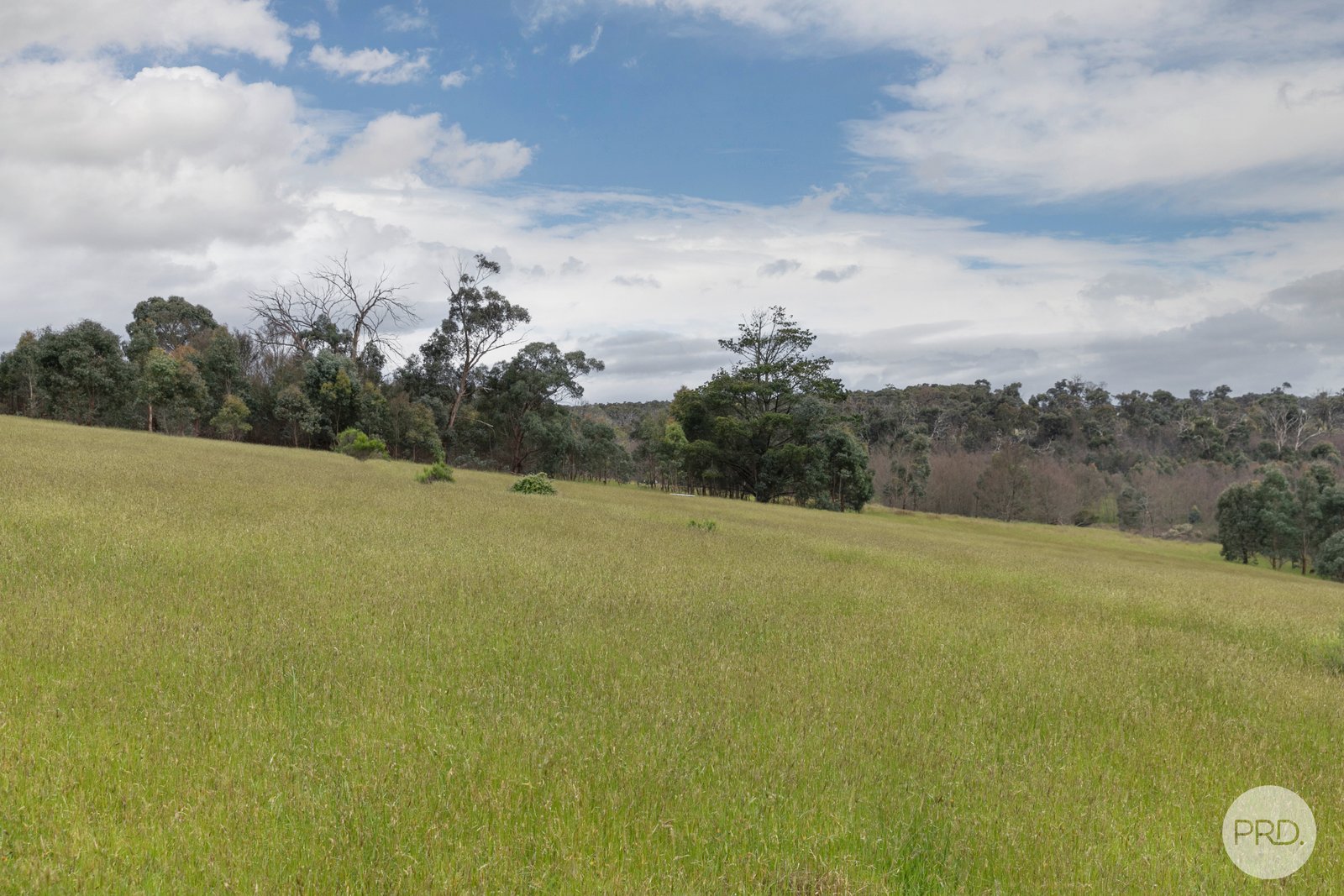 1 Arnolds Road DEREEL 16