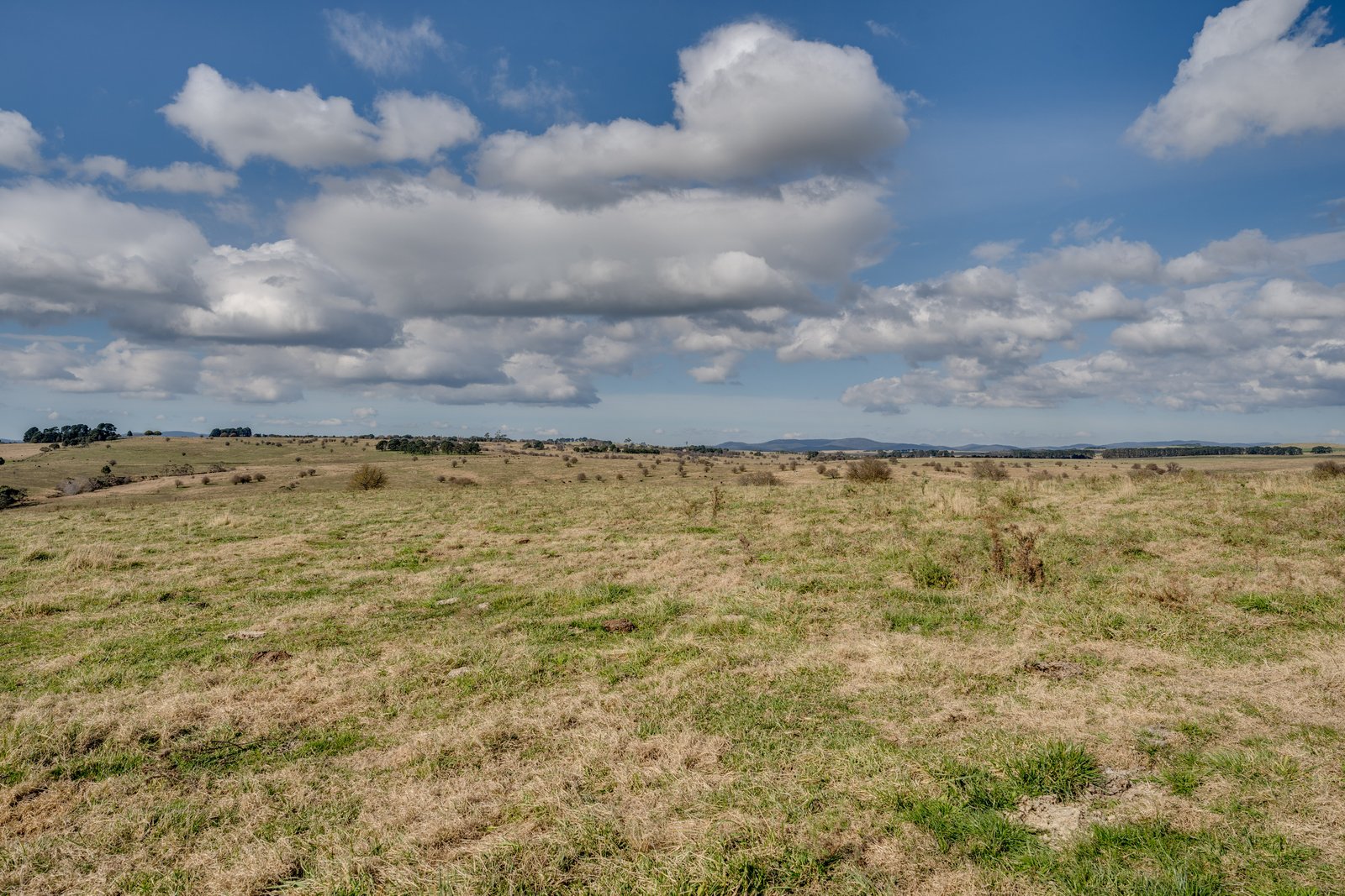 1 Aubrey Close BRAIDWOOD 13