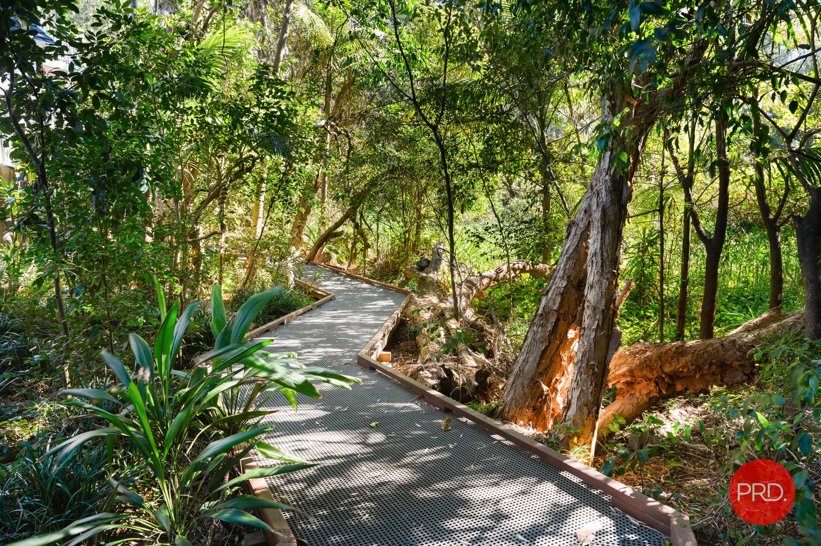 1 Beach Haven Court SAPPHIRE BEACH 22