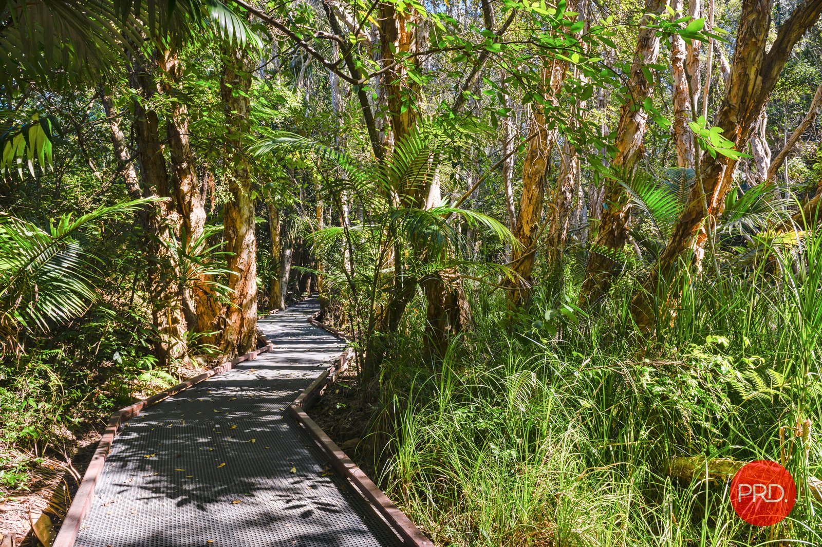 1 Beach Haven Court SAPPHIRE BEACH 23