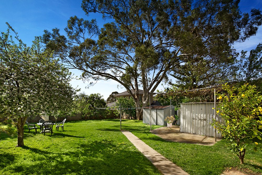 Gallery: 1 Bega Street