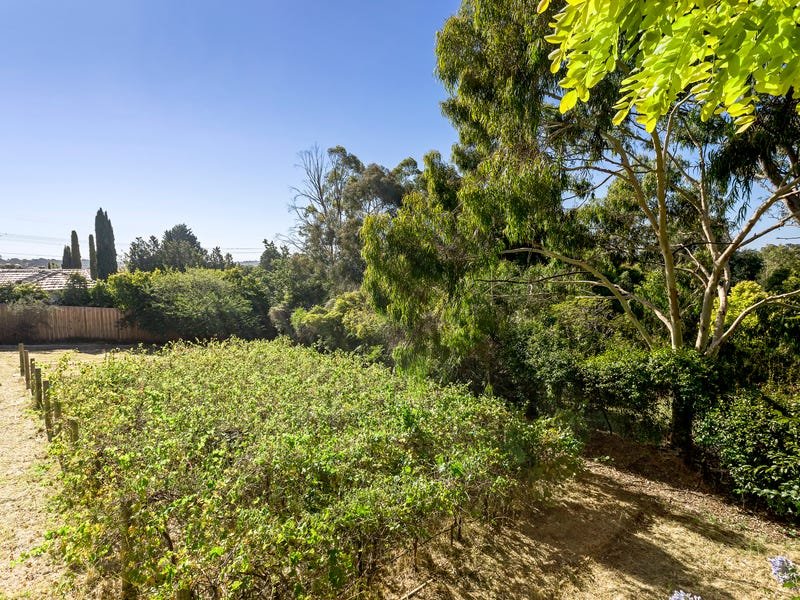 Real Estate and Property in 1 Bernarra Court, Donvale, VIC