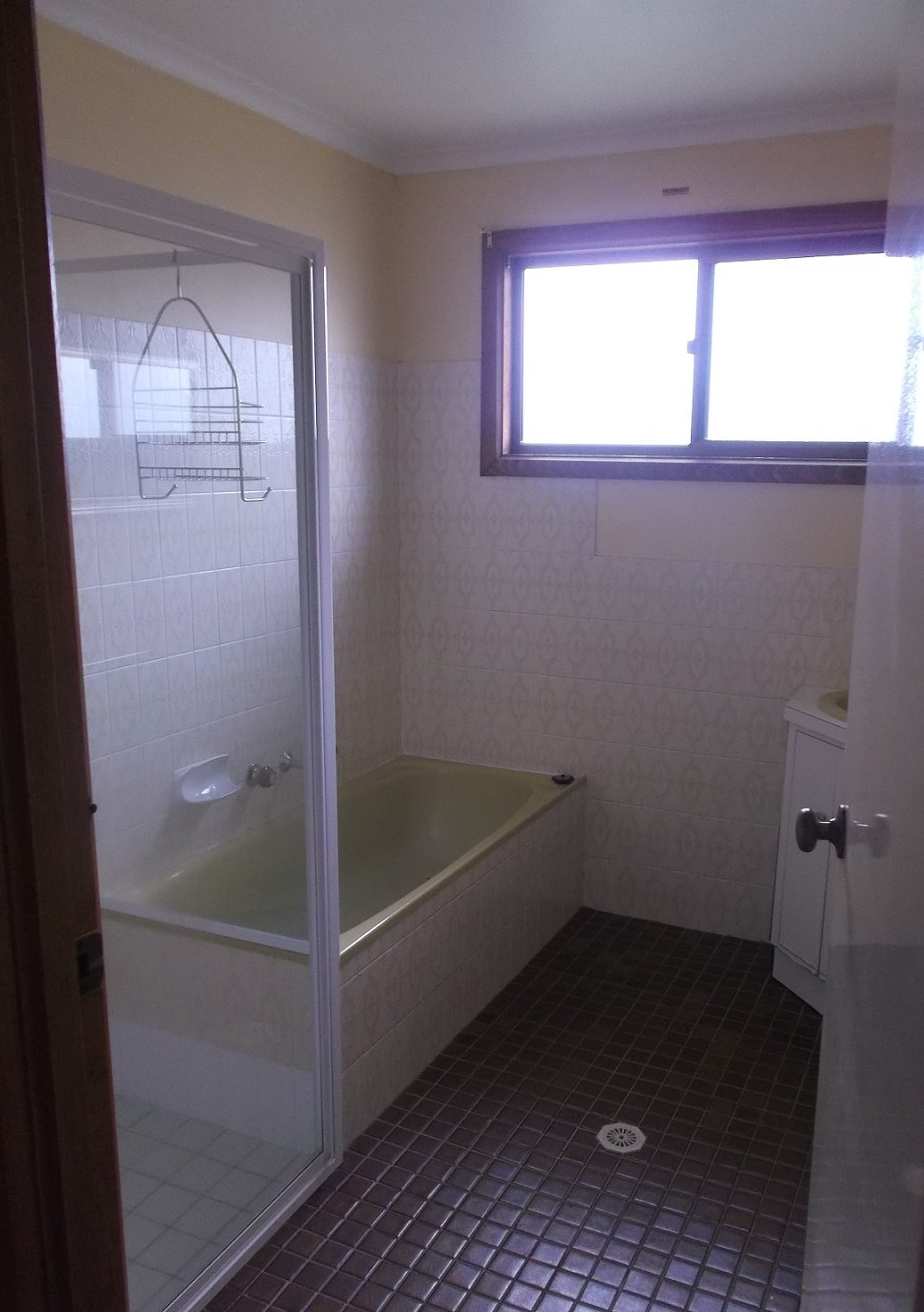 1 Birch Street BATLOW 4