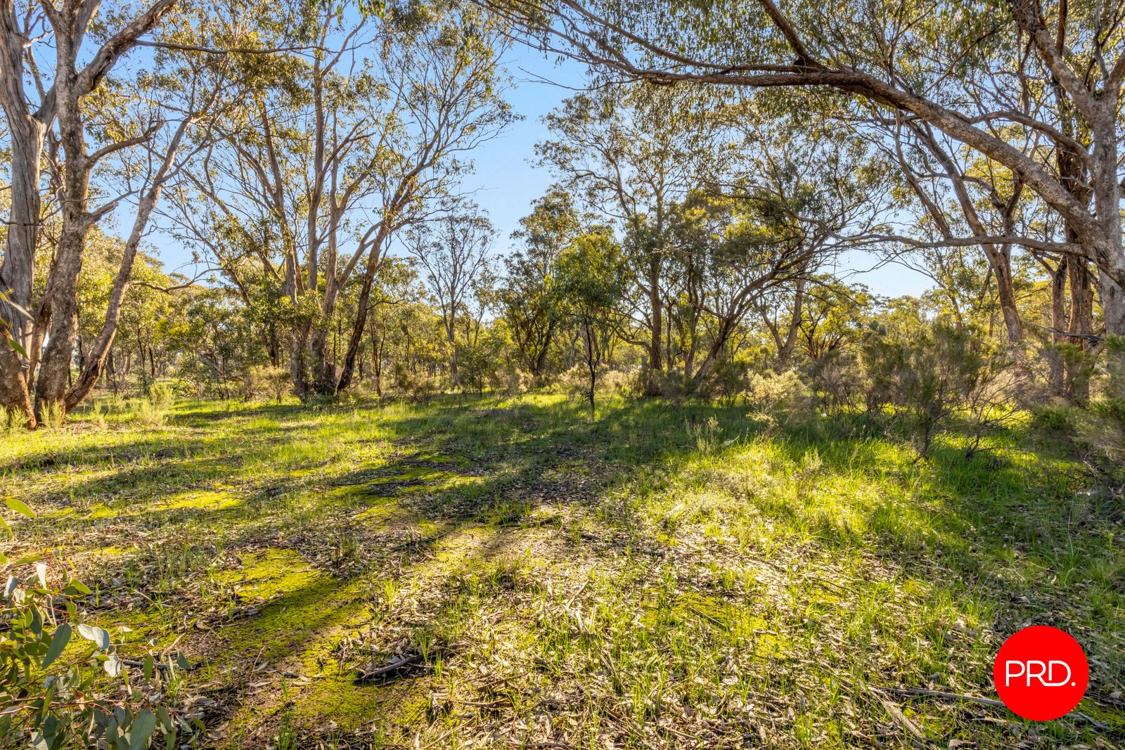 1 Boldiston Crescent HUNTLY 9