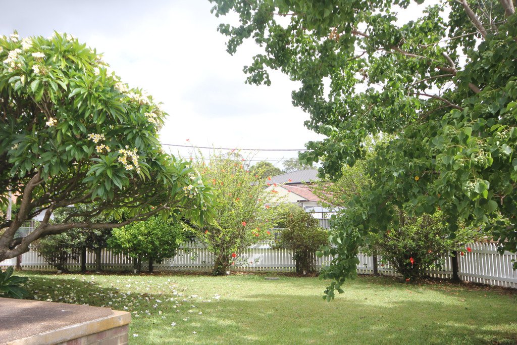 1 Carinya Ave  BEVERLY HILLS 10