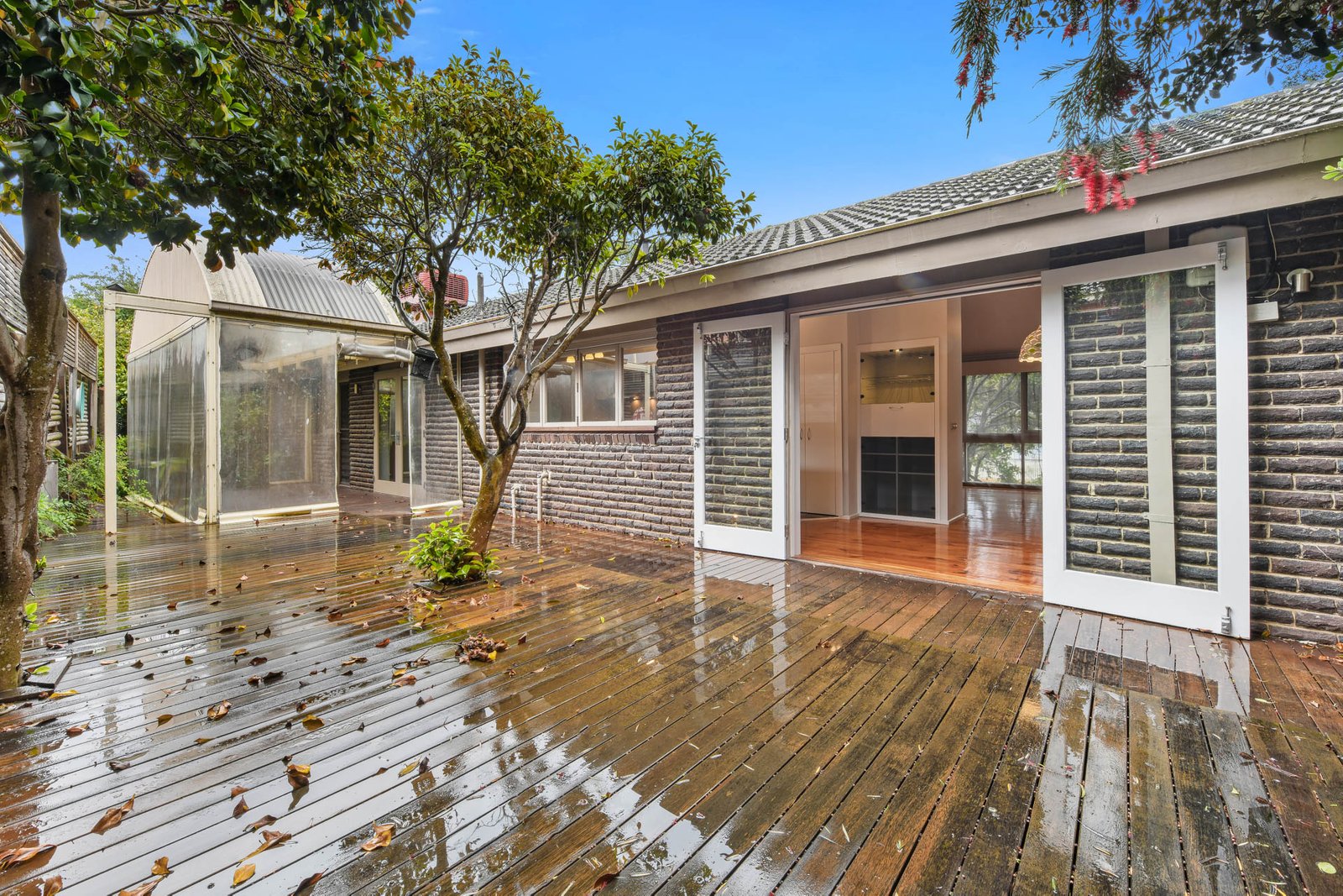 Gallery: 1 Cassinia Avenue