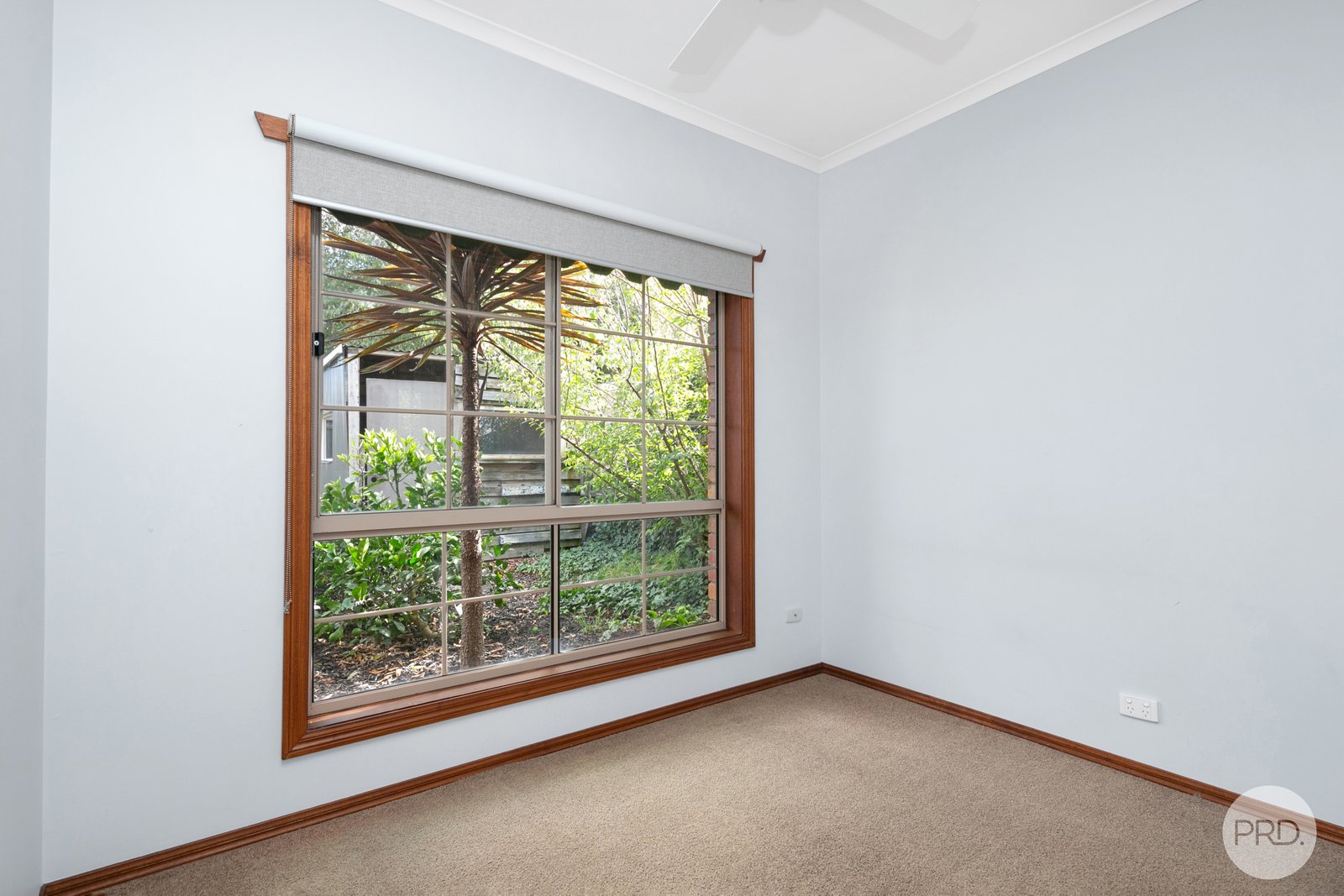 1 Colonial Court ALFREDTON 11