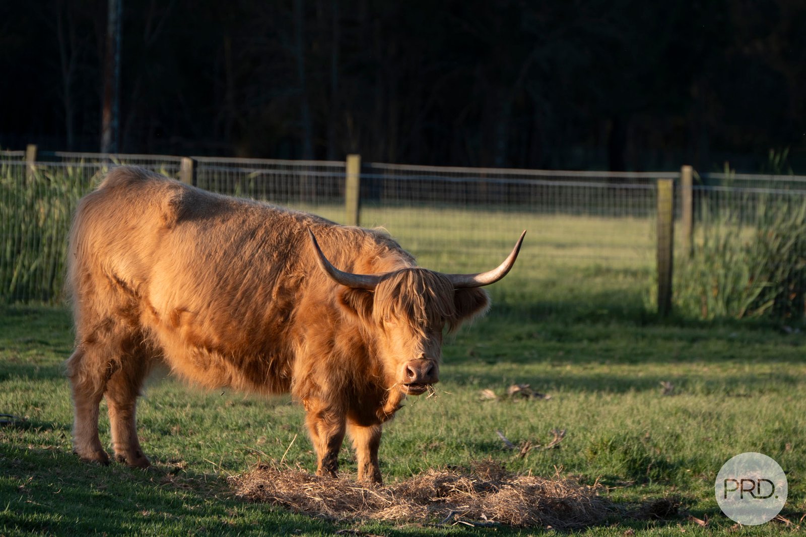 1 Cromarty Lane BOBS FARM 19