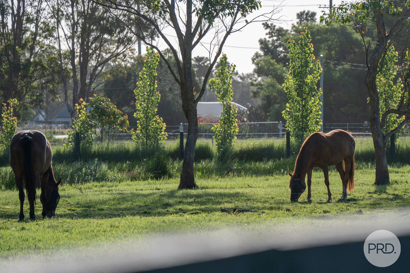 1 Cromarty Lane BOBS FARM 20