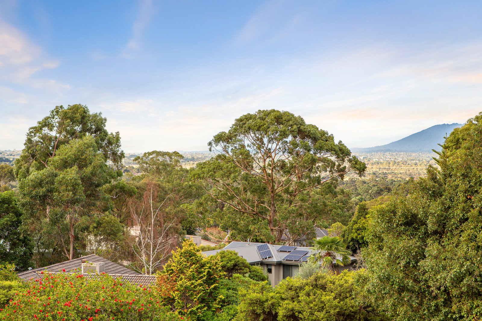 Gallery: 1 Cuthbert Court