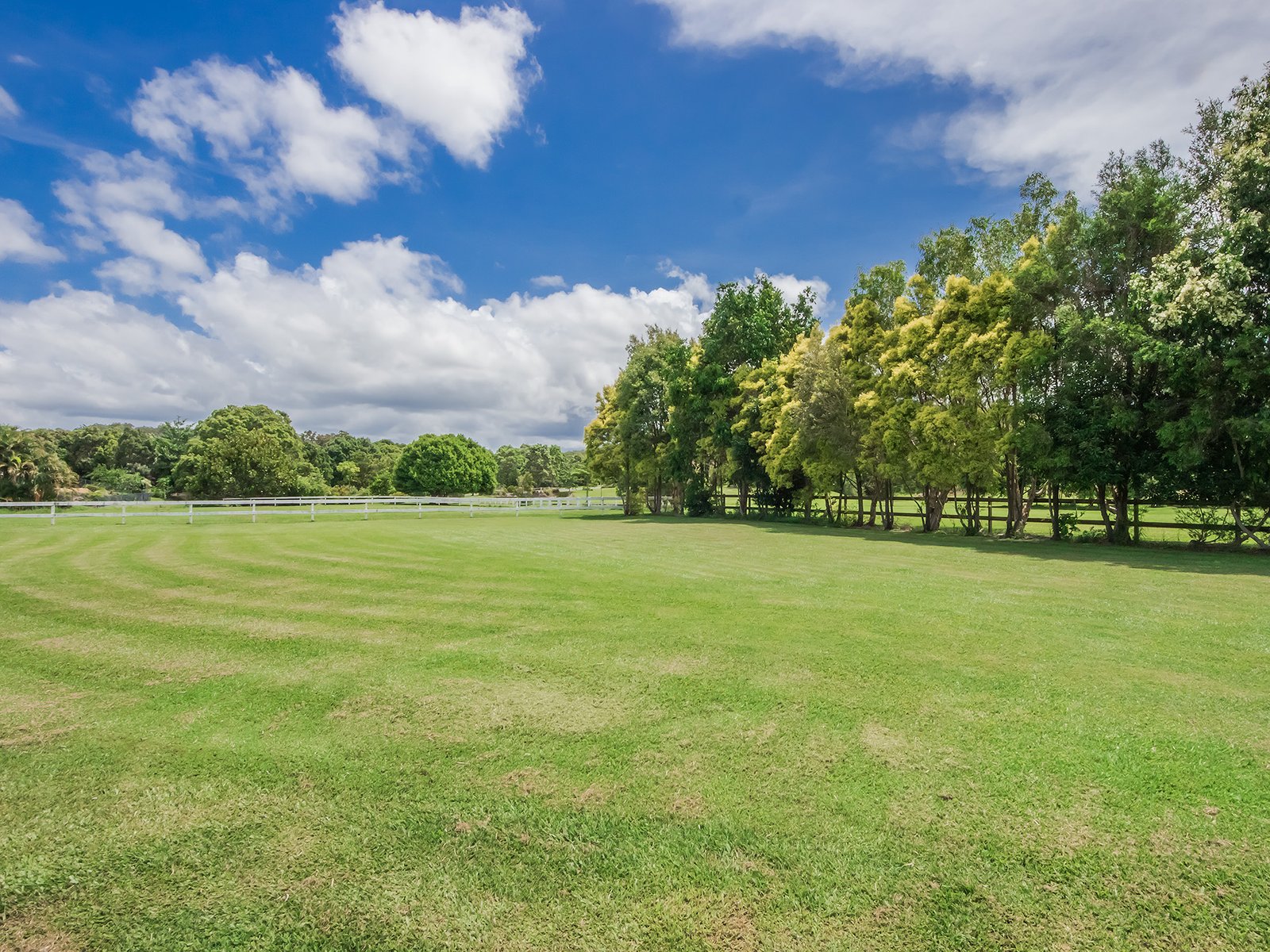 1 Dungogie Drive TALLEBUDGERA 15