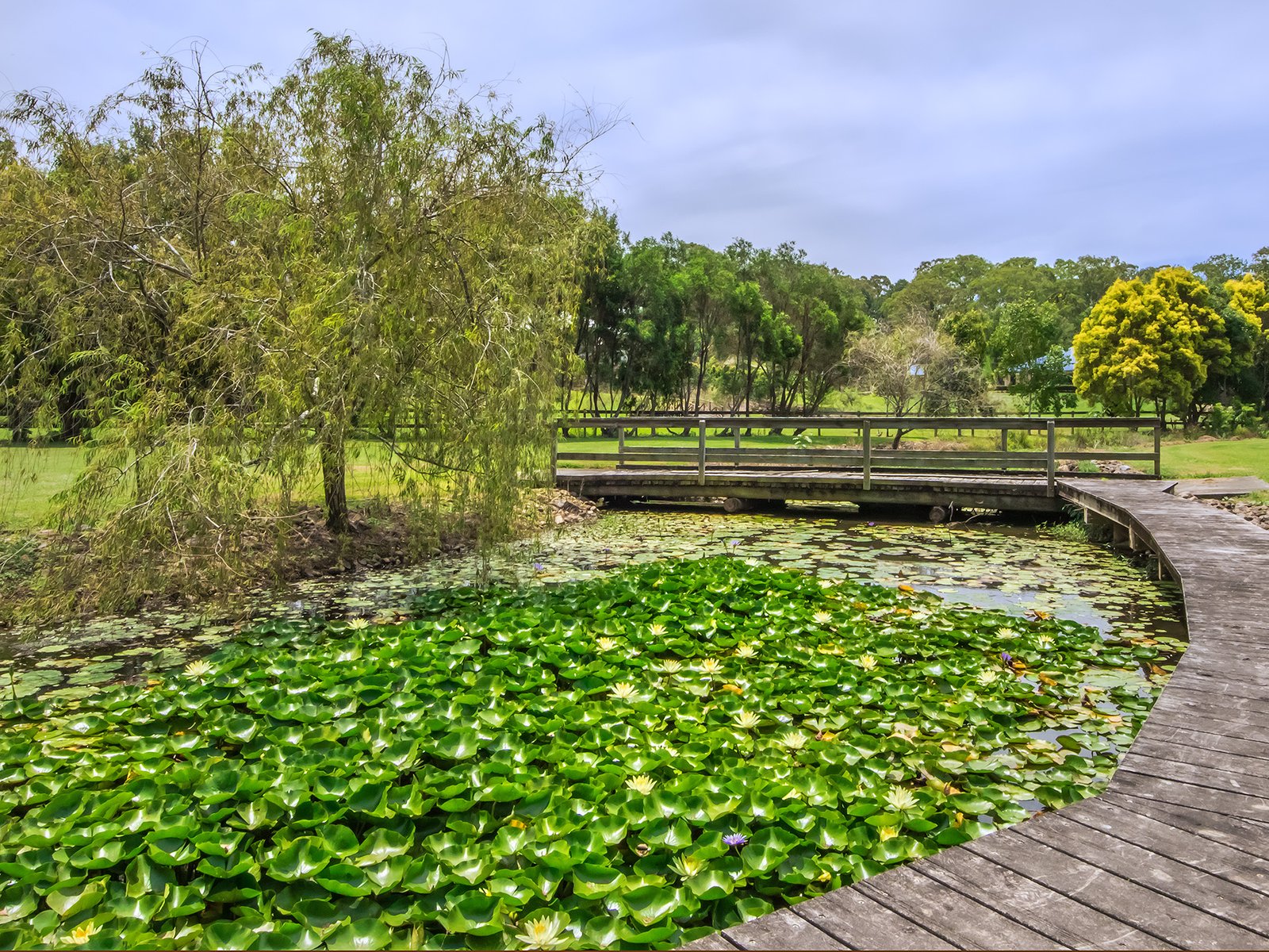 1 Dungogie Drive TALLEBUDGERA 18