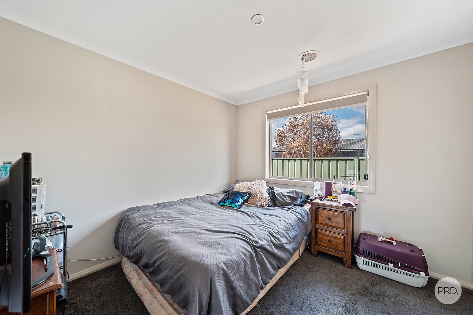 1 Dylan Street EPSOM 9