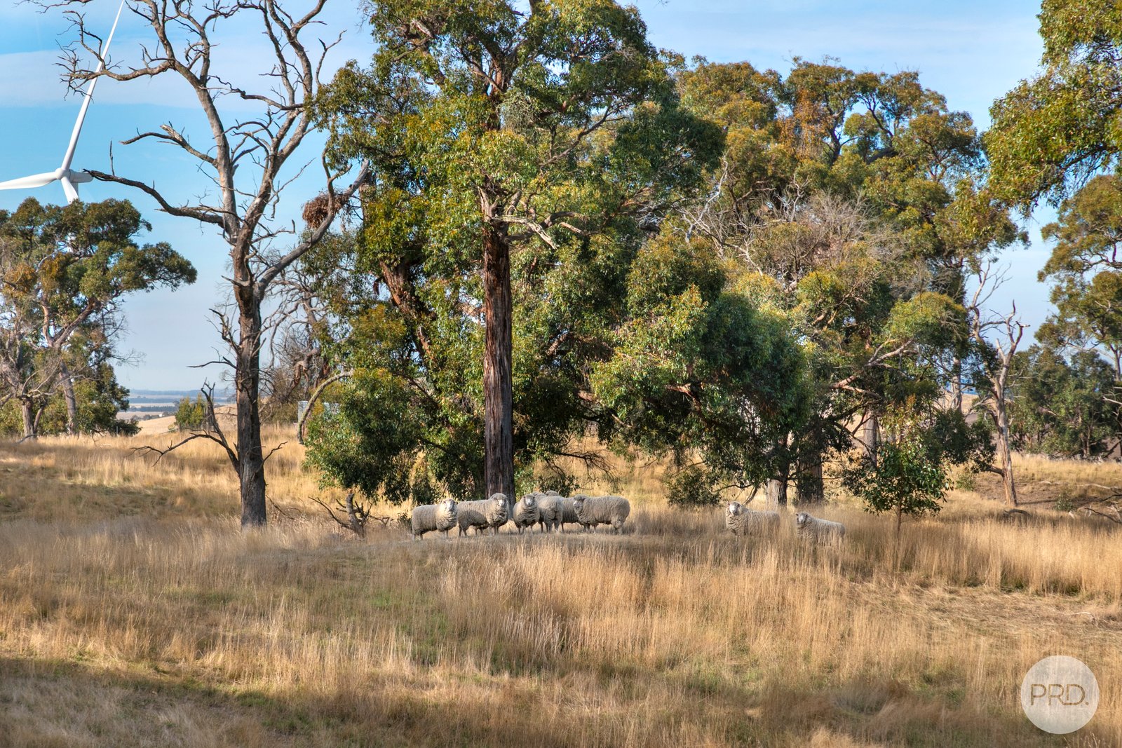 1 Ellis Road BEAUFORT 5