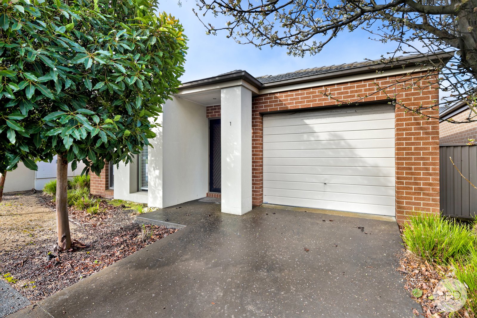 1 Fitzgerald Avenue ALFREDTON 1