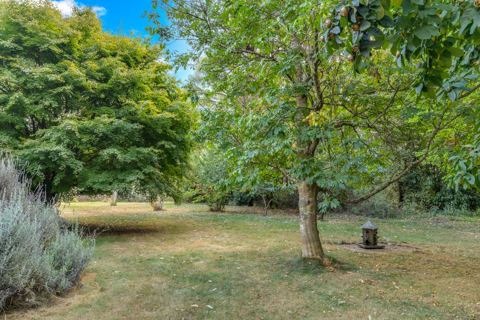 Real Estate and Property in 1 Fitzgerald Road, Bullengarook, VIC