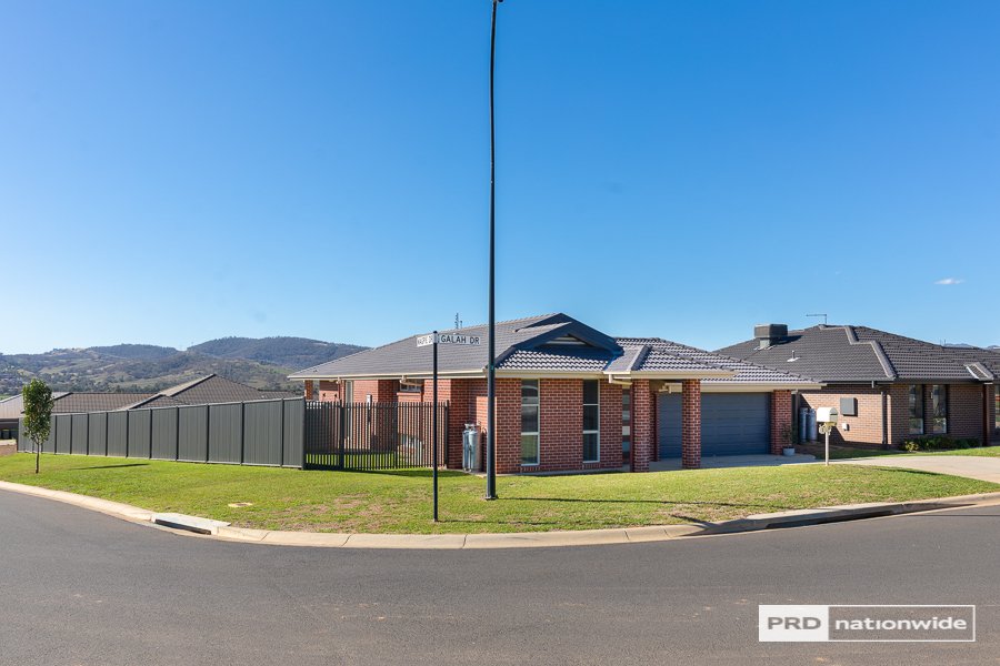 1 Galah Drive TAMWORTH 2