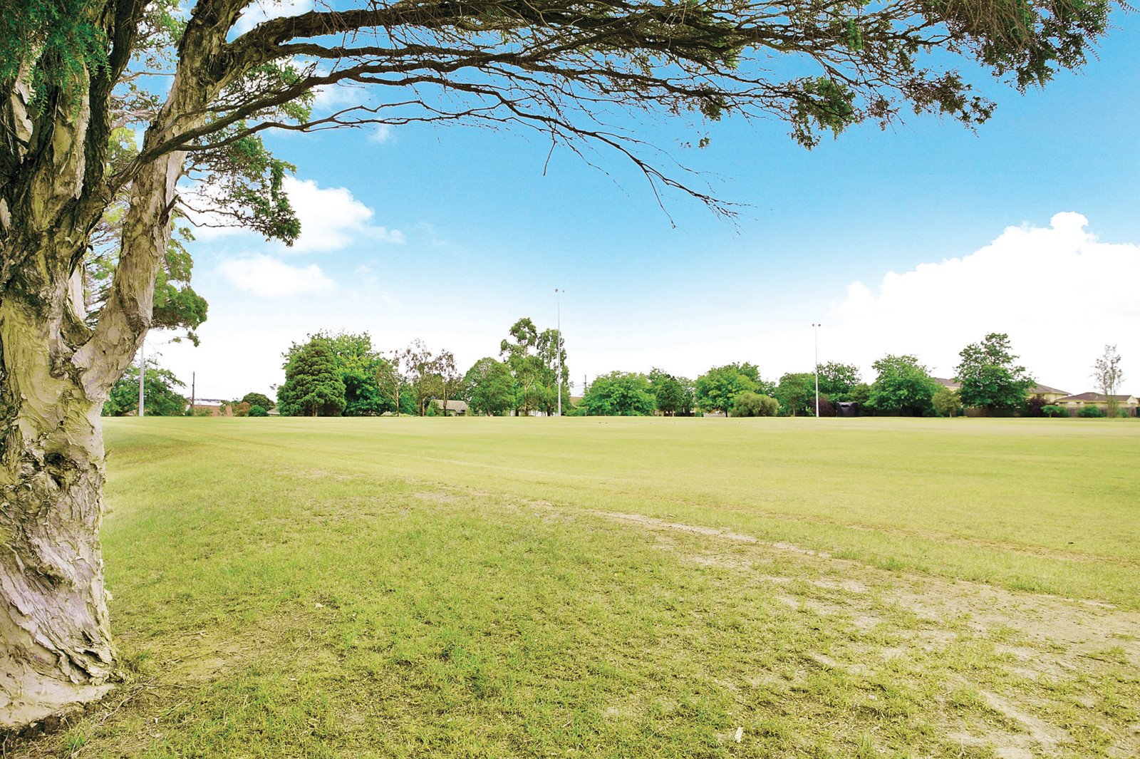 1 Glen Road, Ashburton, VIC