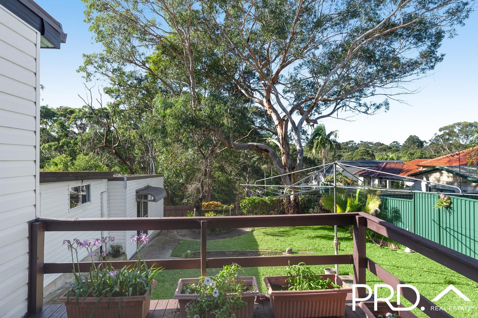 1 Graham Place PICNIC POINT 8