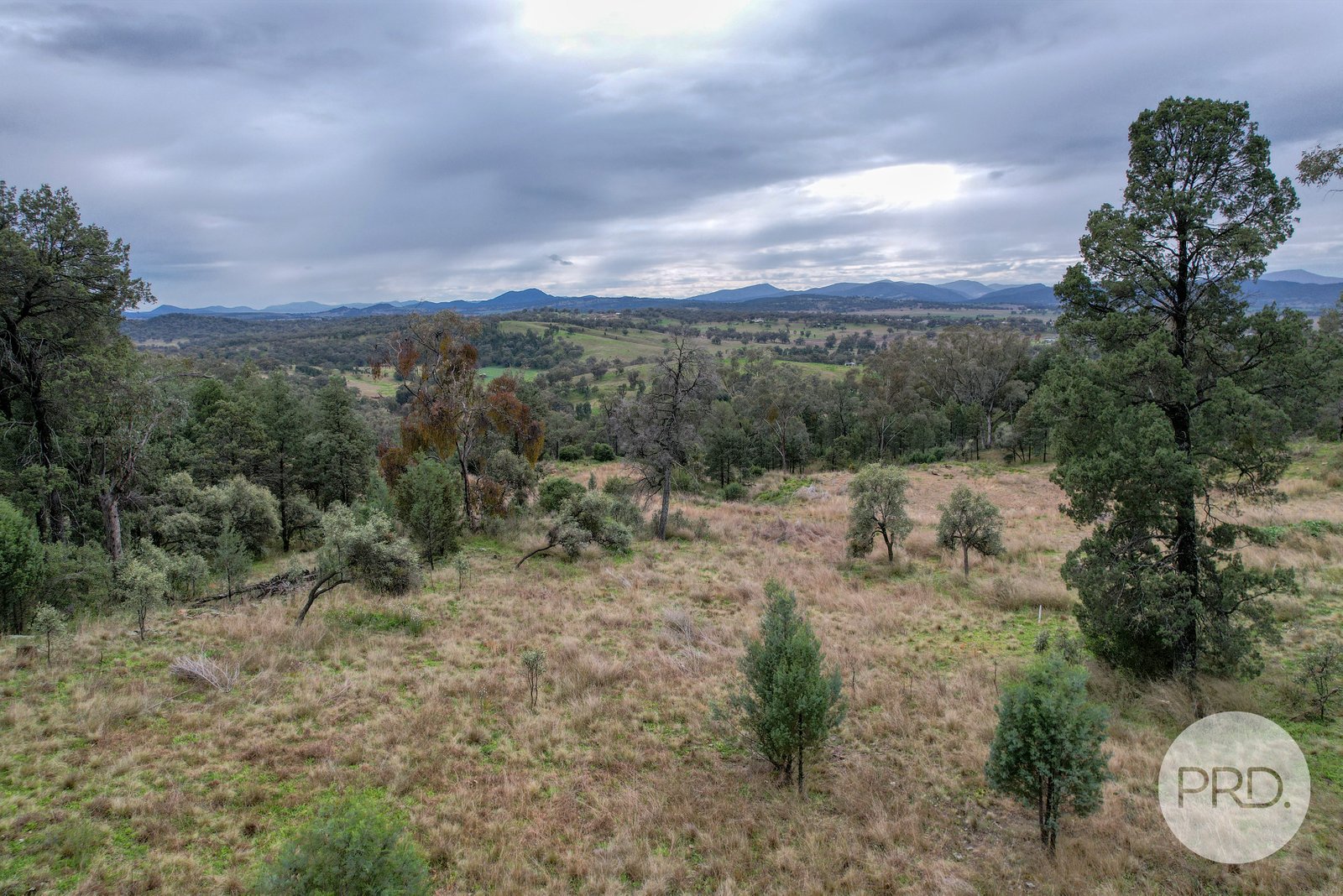 1 Grandview Place QUIRINDI 5