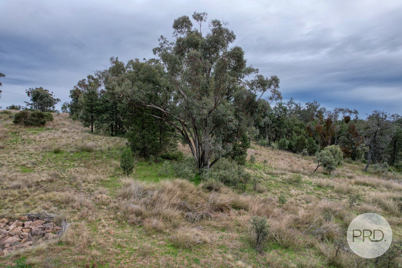 1 Grandview Place QUIRINDI 7