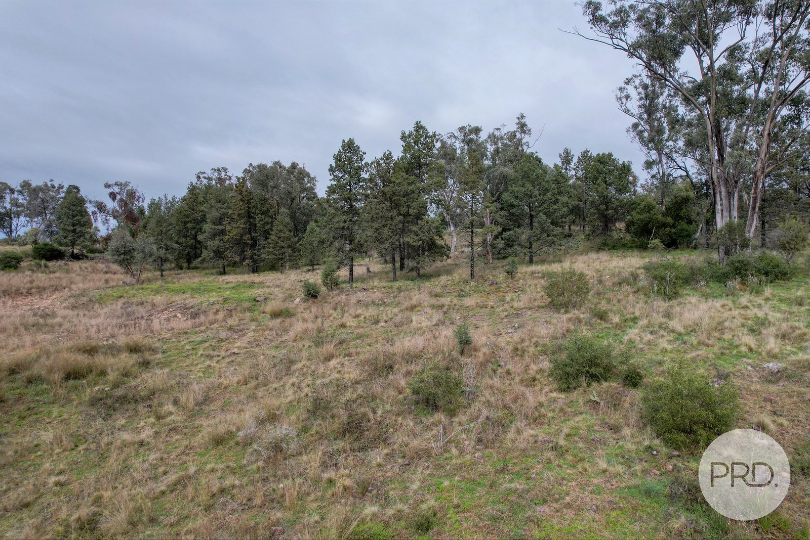 1 Grandview Place QUIRINDI 8