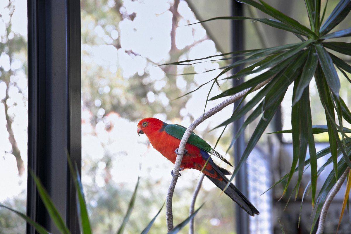 1 Harmes Place Tallebudgera 32