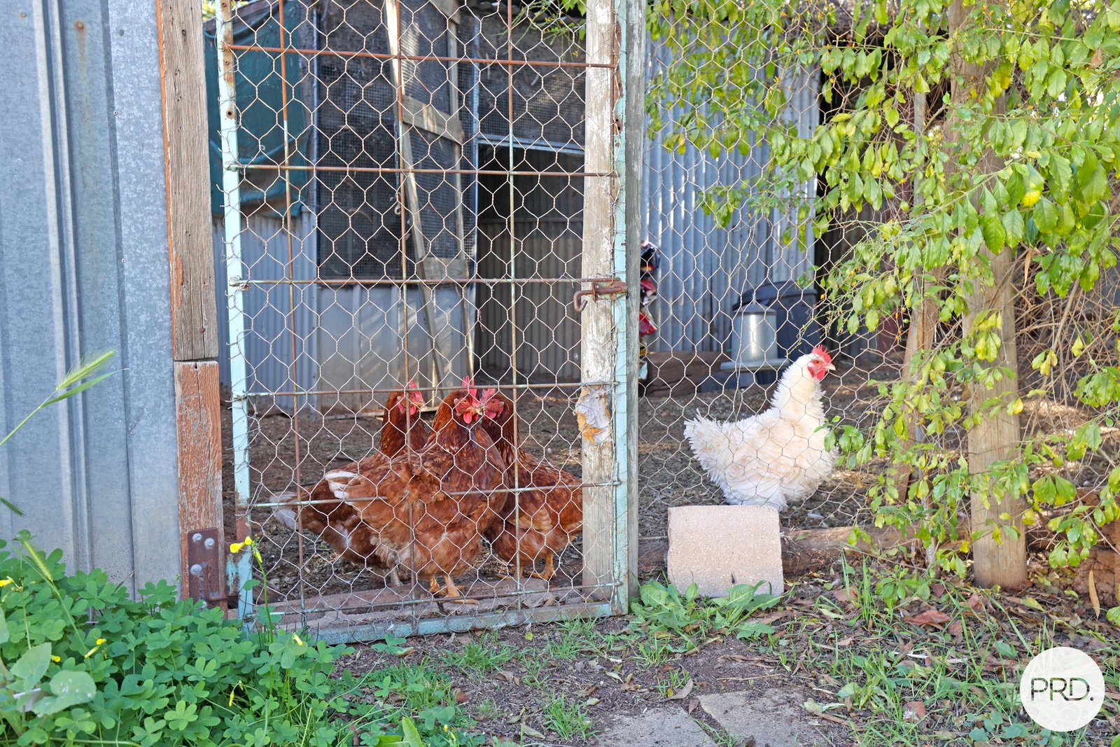 1 Havilah Cresent  MILDURA 12